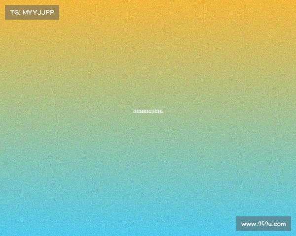 龙之荣誉格斗赛事,龙之荣耀